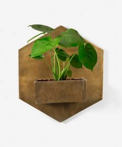 Lulu And Georgia Larayne Hexagon Wall Planter Outdoor Collection