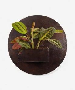 Lulu And Georgia Larayne Circle Wall Planter Outdoor Collection