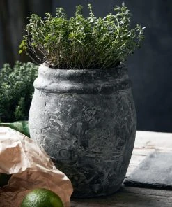 Lulu And Georgia Roni Planter New