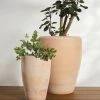 Lulu And Georgia Abrielle Planter (Set Of 2) By Campania International