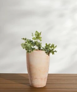 Lulu And Georgia Abrielle Planter (Set Of 2) By Campania International