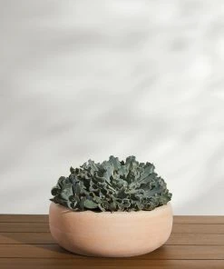 Lulu And Georgia New Annalise Planter (Set Of 2) By Campania International