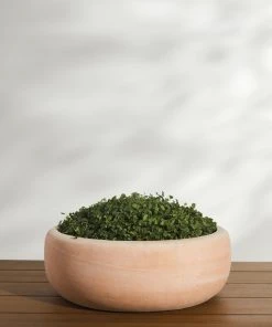 Lulu And Georgia New Annalise Planter (Set Of 2) By Campania International