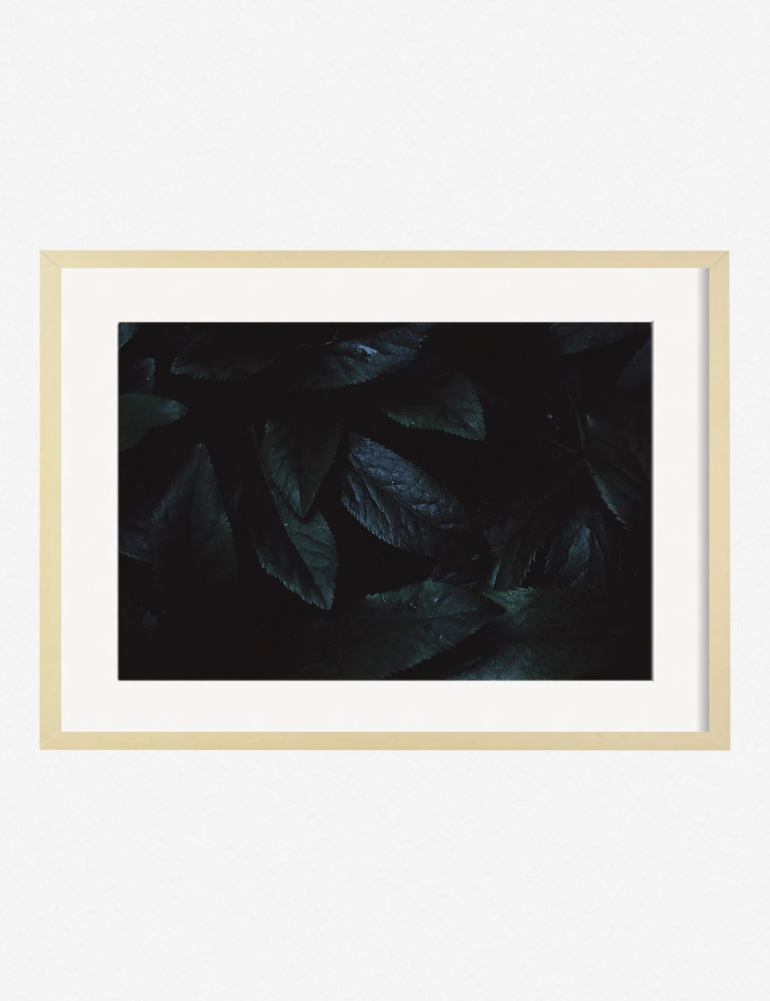 AshleyJohnsonStillLIfePack7-3naturalframe..jpg Lulu And Georgia Walls 'Still Life 3' Photography Print By Ashley Johnson