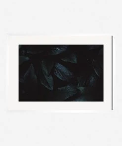 Lulu And Georgia Walls 'Still Life 3' Photography Print By Ashley Johnson 6 Lulu And Georgia Walls 'Still Life 3' Photography Print By Ashley Johnson