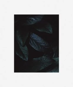 Lulu And Georgia Walls 'Still Life 3' Photography Print By Ashley Johnson 7 Lulu And Georgia Walls 'Still Life 3' Photography Print By Ashley Johnson