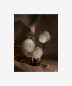 Lulu And Georgia Earth Tones 'Still Life 21' Photography Print By Ashley Johnson