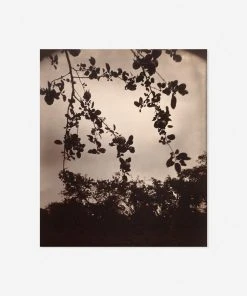 Lulu And Georgia Earth Tones 'Branche De Pommier' Print By Eugène Atget