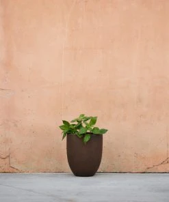Lulu And Georgia Bradford Planter By Campania International New