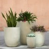 Lulu And Georgia Bradford Planter By Campania International New