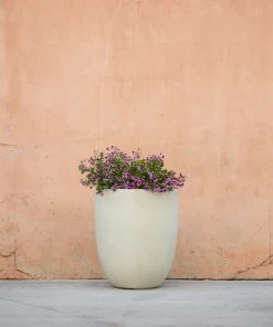 Lulu And Georgia Bradford Planter By Campania International New
