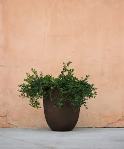 Lulu And Georgia Bradford Planter By Campania International New