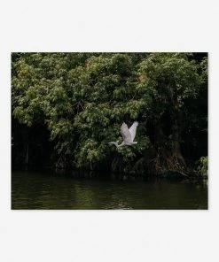 Lulu And Georgia Mossy Greens 'Lake Nicaragua' Photography Print By Carley Rudd