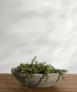 Lulu And Georgia New Cast Stone Tabletop Planter By Campania International 9 Lulu And Georgia New Cast Stone Tabletop Planter By Campania International