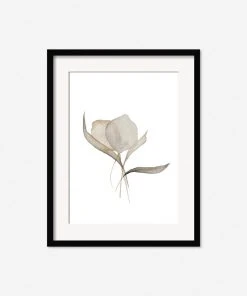 Lulu And Georgia Earth Tones'Pale Bouquet' Print By Céline Nordenhed