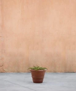 Lulu And Georgia Classic Rolled Rim Planter By Campania International