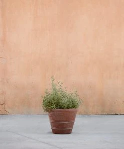 Lulu And Georgia Classic Rolled Rim Planter By Campania International