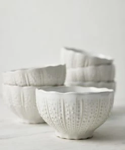 Lulu And Georgia Aparte Fruit Bowls (Set Of 6) By Costa Nova