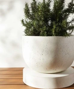 Lulu And Georgia Dreama Indoor / Outdoor Planter New