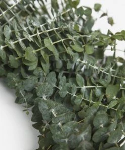 Lulu And Georgia Fresh Handmade Baby Blue Eucalyptus Wreath Mossy Greens