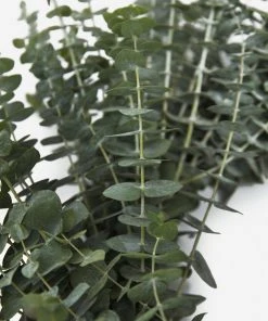 Lulu And Georgia Fresh Handmade Baby Blue Eucalyptus Wreath Mossy Greens