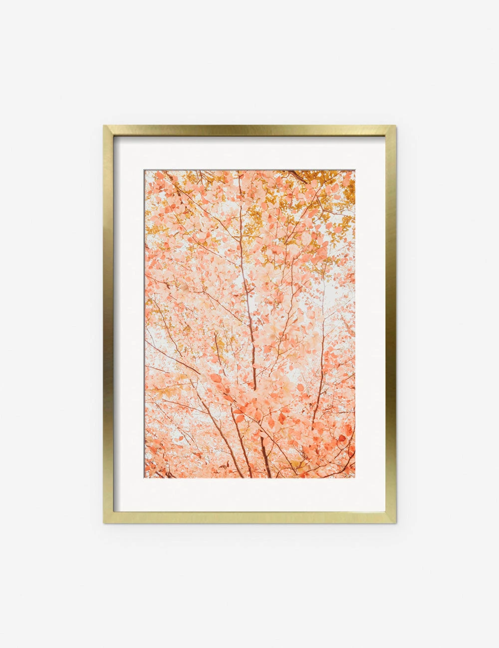 Lulu And Georgia New 'Pastel Fall Tree' Photography Print By Ingrid Beddoes 4 Lulu And Georgia New 'Pastel Fall Tree' Photography Print By Ingrid Beddoes