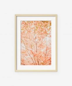 Lulu And Georgia New 'Pastel Fall Tree' Photography Print By Ingrid Beddoes 11 Lulu And Georgia New 'Pastel Fall Tree' Photography Print By Ingrid Beddoes