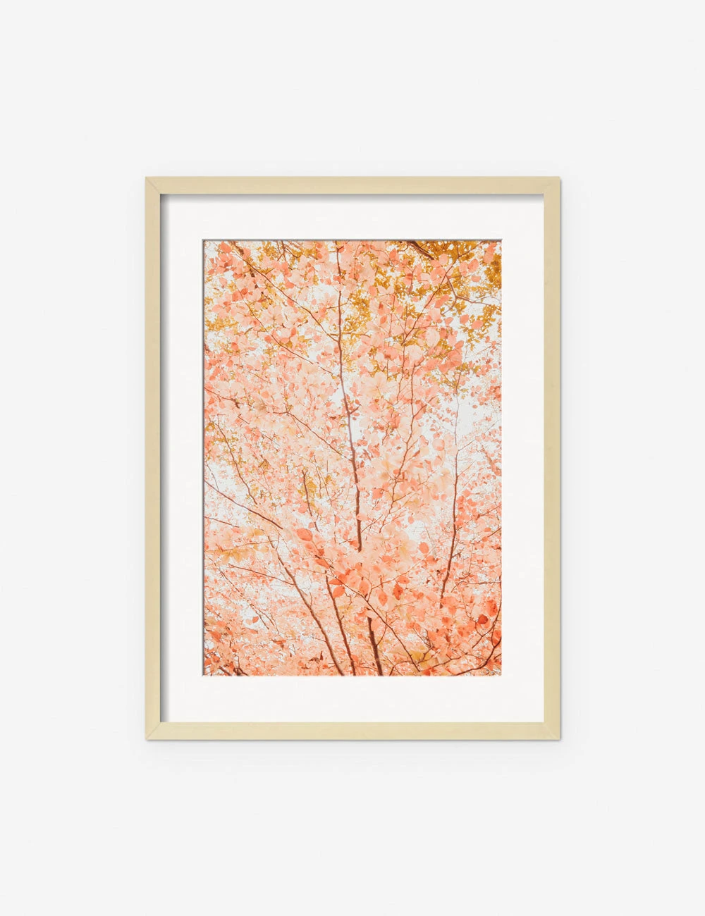 Lulu And Georgia New 'Pastel Fall Tree' Photography Print By Ingrid Beddoes 5 Lulu And Georgia New 'Pastel Fall Tree' Photography Print By Ingrid Beddoes