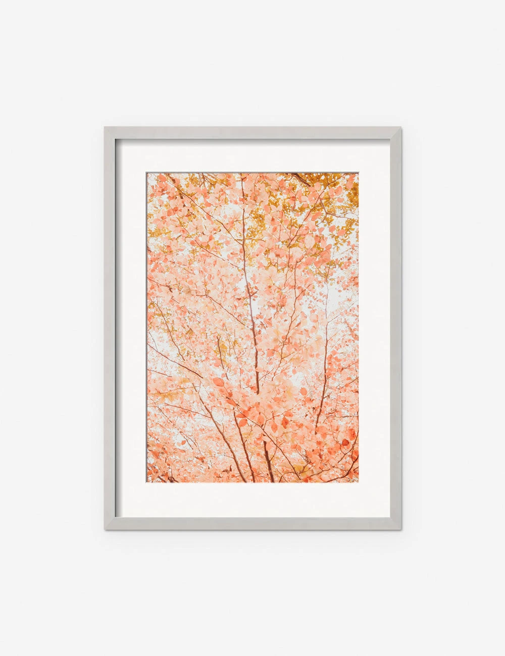 Lulu And Georgia New 'Pastel Fall Tree' Photography Print By Ingrid Beddoes 6 Lulu And Georgia New 'Pastel Fall Tree' Photography Print By Ingrid Beddoes