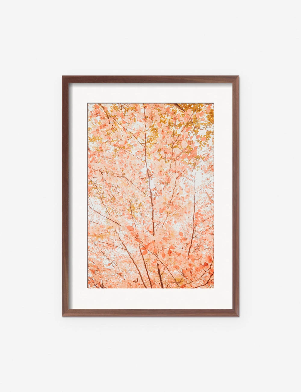 Lulu And Georgia New 'Pastel Fall Tree' Photography Print By Ingrid Beddoes 7 Lulu And Georgia New 'Pastel Fall Tree' Photography Print By Ingrid Beddoes