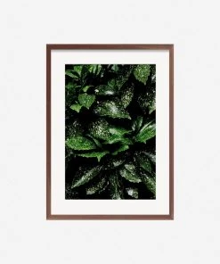 Lulu And Georgia Mossy Greens 'Still Life 7' Photography Print By Ashley Johnson