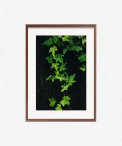 Lulu And Georgia Mossy Greens 'Still Life 15' Photography Print By Ashley Johnson