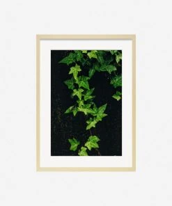Lulu And Georgia Mossy Greens 'Still Life 15' Photography Print By Ashley Johnson