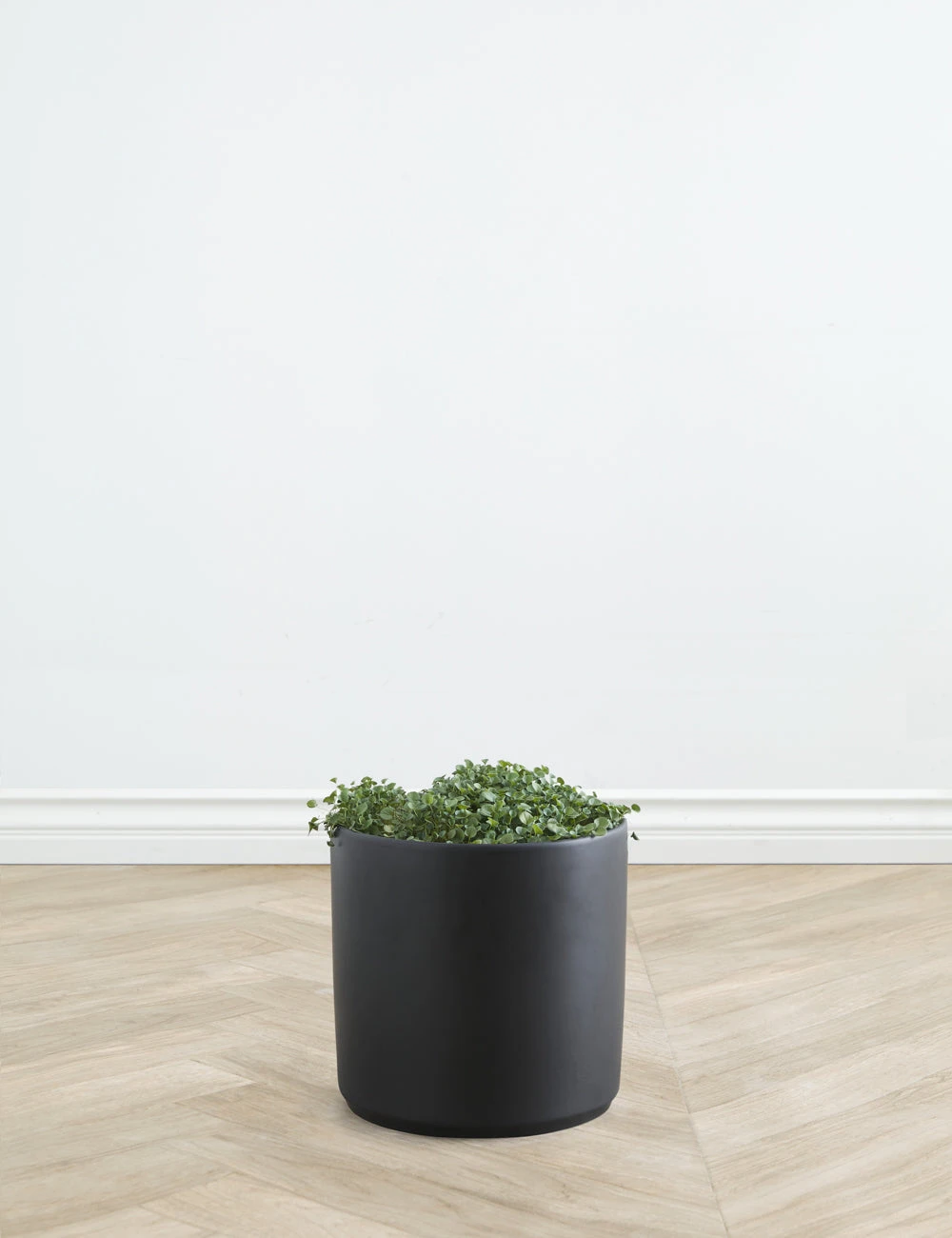 Lulu And Georgia LBE Design Ceramic Planter Décor 7 Lulu And Georgia LBE Design Ceramic Planter Décor