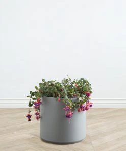 Lulu And Georgia LBE Design Ceramic Planter Décor 34 Lulu And Georgia LBE Design Ceramic Planter Décor