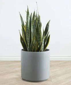 Lulu And Georgia LBE Design Ceramic Planter Décor 33 Lulu And Georgia LBE Design Ceramic Planter Décor