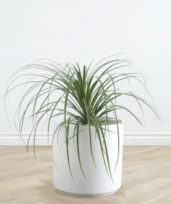 Lulu And Georgia LBE Design Ceramic Planter Décor 38 Lulu And Georgia LBE Design Ceramic Planter Décor