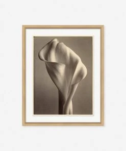 Lulu And Georgia 'Sepia Flowers' Wall Art Earth Tones