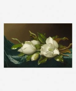 Lulu And Georgia 'Magnolias On Light Blue Velvet Cloth' Print By Martin Johnson Heade Walls
