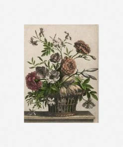 Lulu And Georgia Walls 'Marigolds, Single Anemone, Jasmine' Print By Jean-Baptiste Monnoyer