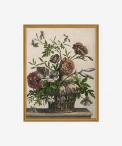 Lulu And Georgia Walls 'Marigolds, Single Anemone, Jasmine' Print By Jean-Baptiste Monnoyer
