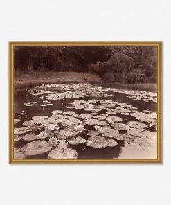 Lulu And Georgia 'Nymphéas (Bagatelle)' Print By Eugène Atget Earth Tones