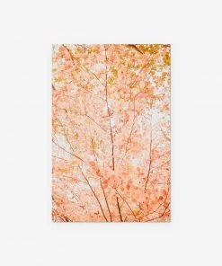 Lulu And Georgia New 'Pastel Fall Tree' Photography Print By Ingrid Beddoes 15 Lulu And Georgia New 'Pastel Fall Tree' Photography Print By Ingrid Beddoes