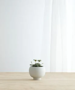 Lulu And Georgia Sutton Self-Watering Planter By Greenery Unlimited New