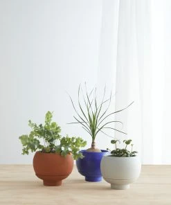 Lulu And Georgia Sutton Self-Watering Planter By Greenery Unlimited