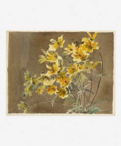 Lulu And Georgia 'Yellow/Orange Flower With Border' Print By Hannah Borger Overbeck Earth Tones