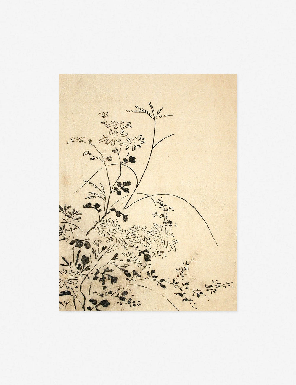 YuzenAutumnFlowersandGrassesUnframedPrint.jpg Lulu And Georgia 'Autumn Flowers And Grasses' Print By Miyazaki Yūzen Walls