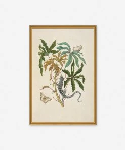 Lulu And Georgia 'Cassava With White Peacock Butterfly And Young Golden Tegu' Wall Art By Maria Sibylla Merian, Original Work Held By The J. Paul Getty Museum