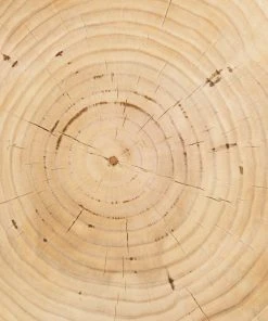 Lulu And Georgia Solaro Side Table Curved + Rounded 7 Lulu And Georgia Solaro Side Table Curved + Rounded