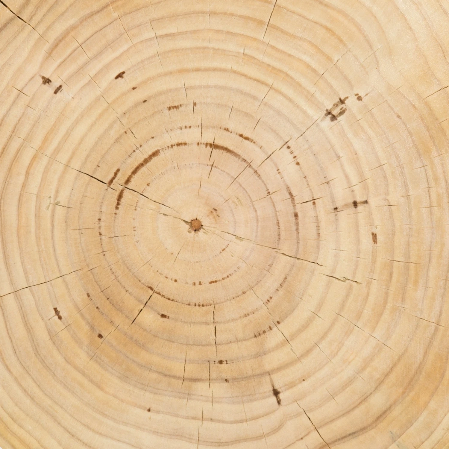 cbsh-024_det_2.jpg Lulu And Georgia Solaro Side Table Curved + Rounded